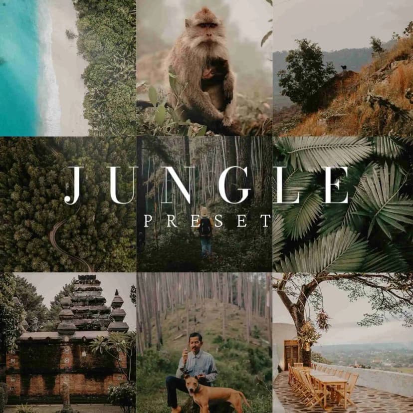 Sampul produk Jungle Preset LRMobileID